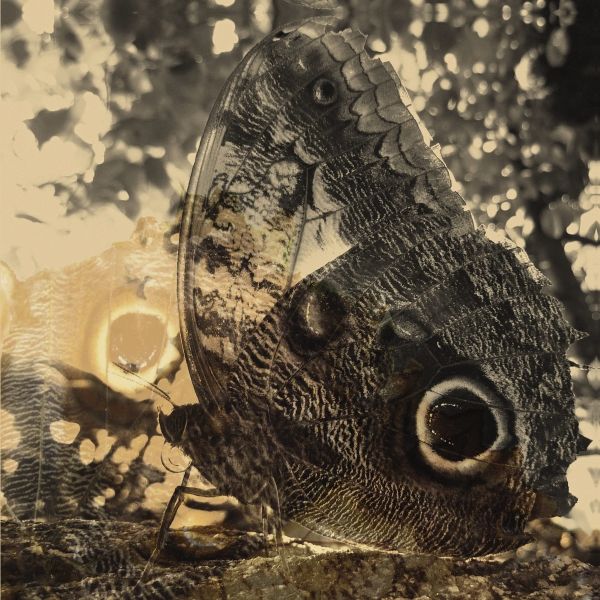 Ikiru Or The Wanderer