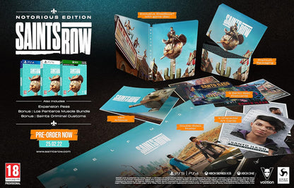 Saints Row Notorious Edition (PS4)