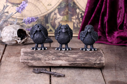 Nemesis Now Three Wise Ravens, Black, 8.7cm (B6023V2
