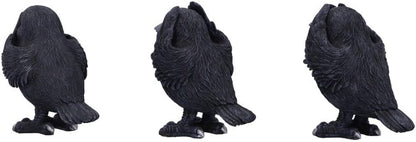 Nemesis Now Three Wise Ravens, Black, 8.7cm (B6023V2