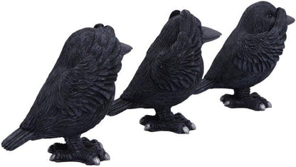Nemesis Now Three Wise Ravens, Black, 8.7cm (B6023V2