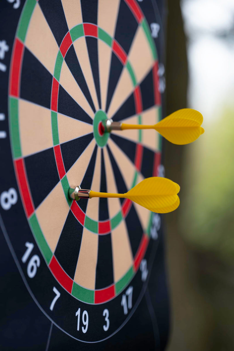 Fizz Creations Magnetic Outdoor Dartboard. Includes Portable Magnetic Waterproof Dartboard in Waterproof Tube, 3 Yellow Darts and 3 Red Darts.