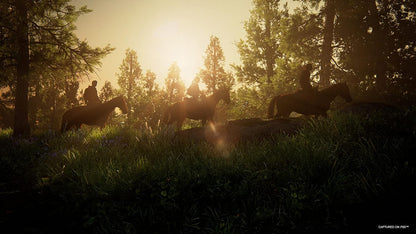 The Last of US Part I