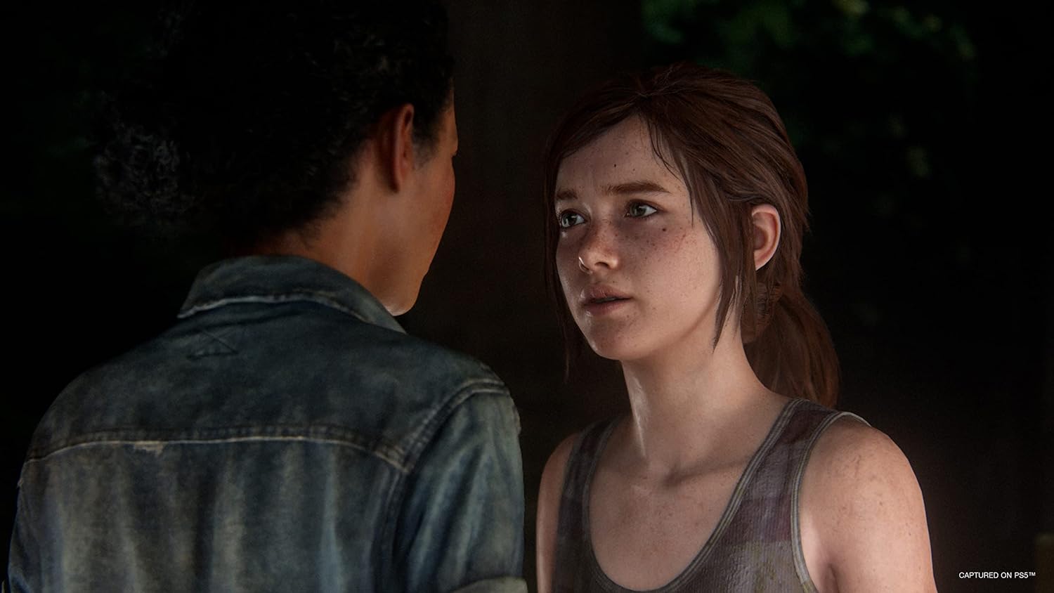 The Last of US Part I