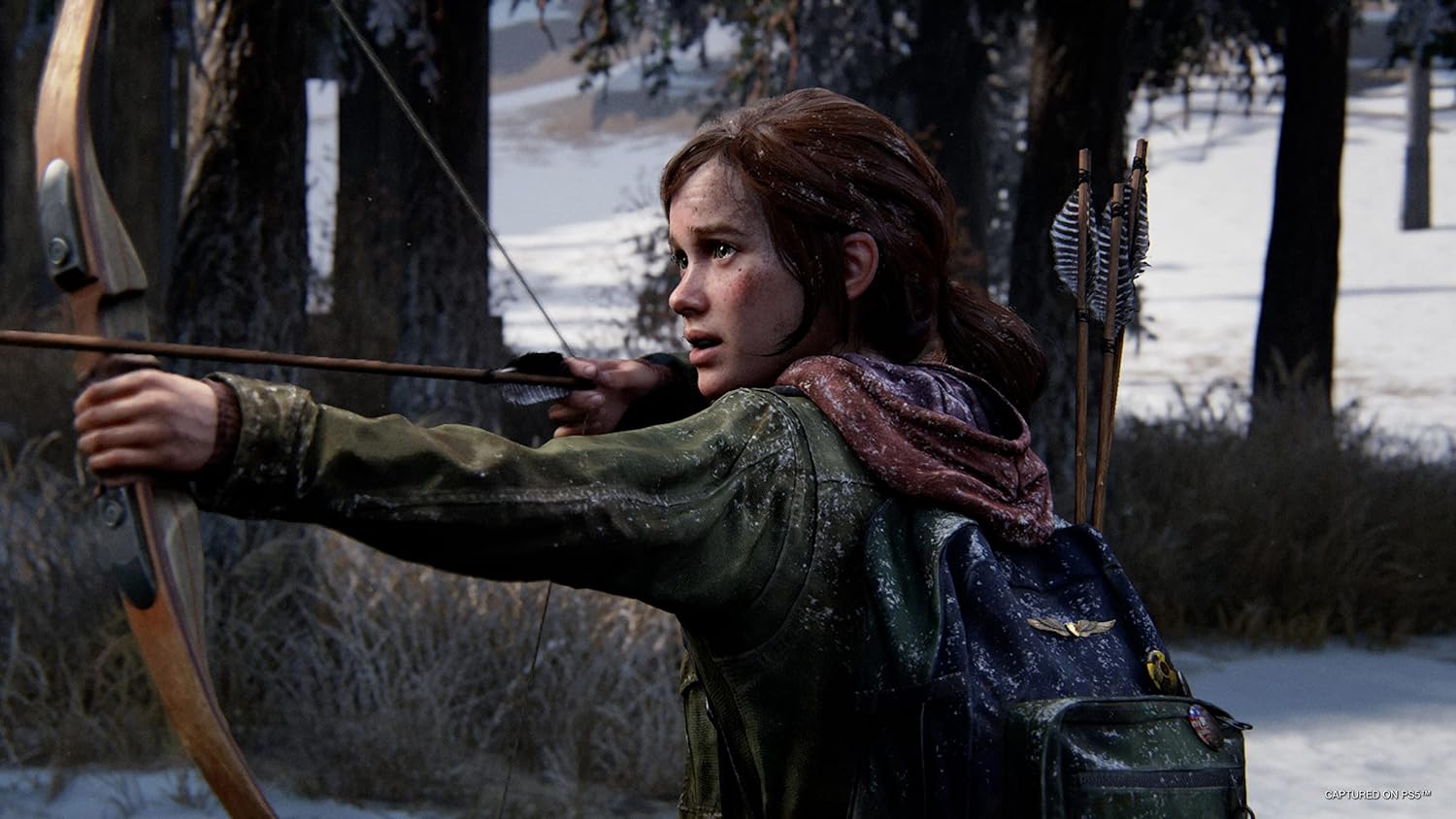 The Last of US Part I