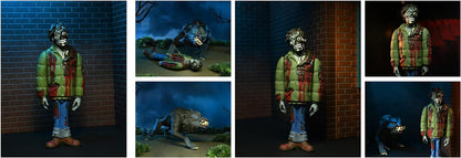 MERCHANDISING LICENCE NECA - American Werewolf In London Toony Terrors 6 Action Figure 2Pk, NEC0NC04898