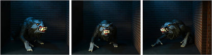 MERCHANDISING LICENCE NECA - American Werewolf In London Toony Terrors 6 Action Figure 2Pk, NEC0NC04898