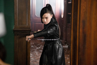 Young IP Man: Crisis Time
