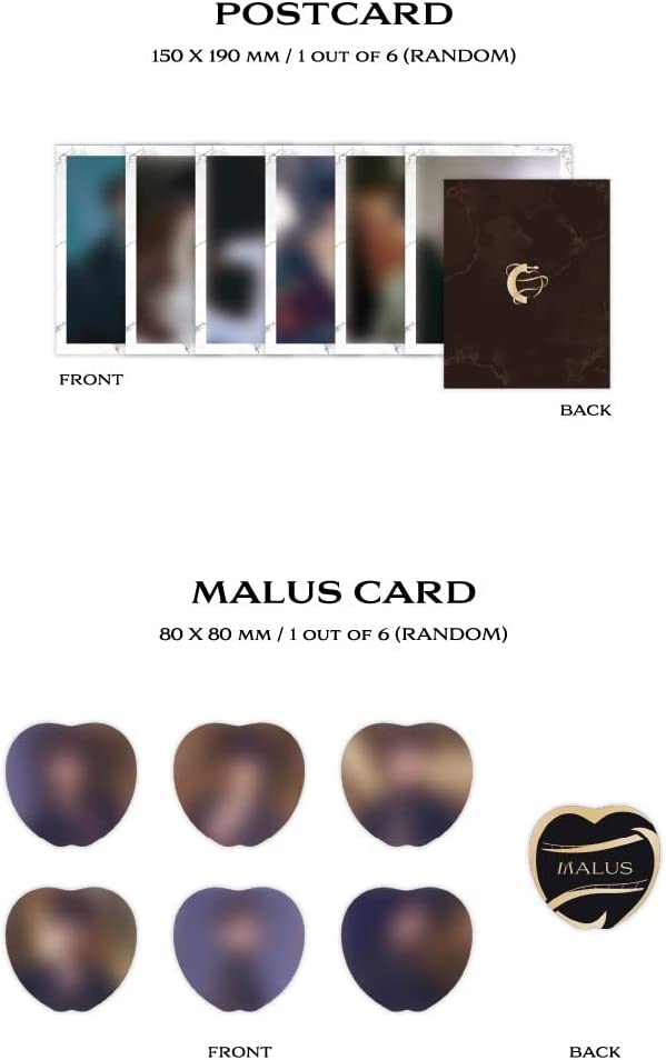 Malus (Main Version)