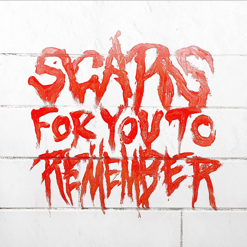 Scars for You to Remember