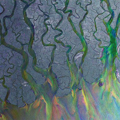An Awesome Wave (National Album Day 2022)