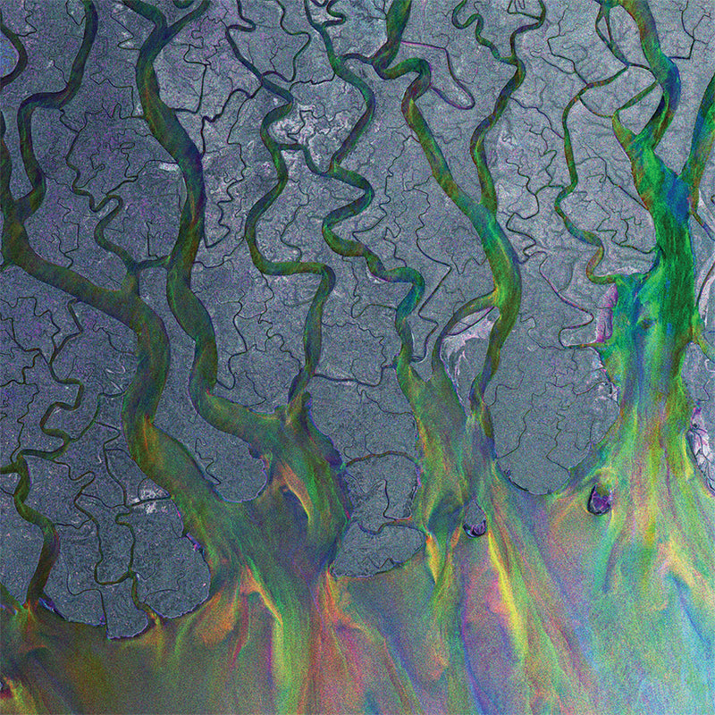 An Awesome Wave (National Album Day 2022)