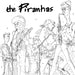 The Piranhas