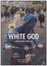 White god