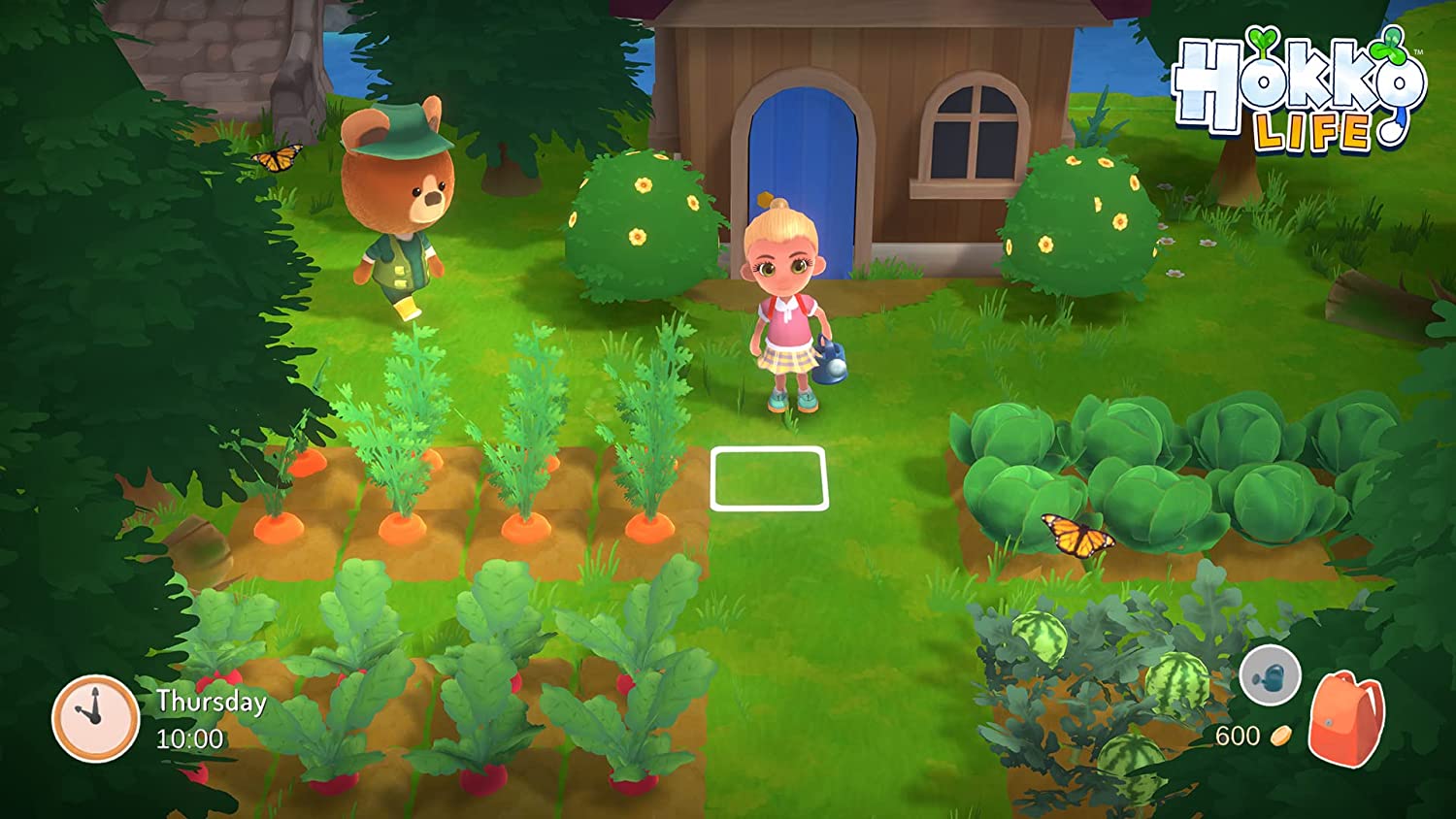 Hokko Life Nintendo Switch