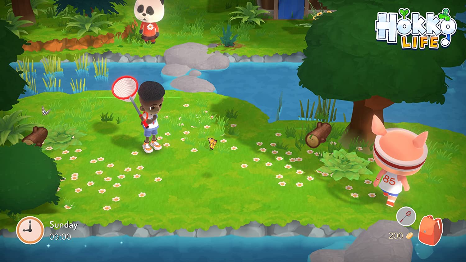Hokko Life Nintendo Switch