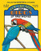 God Created the Birds of the World