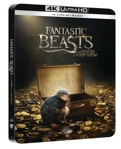 Animaux Fantastiques - Combo 4