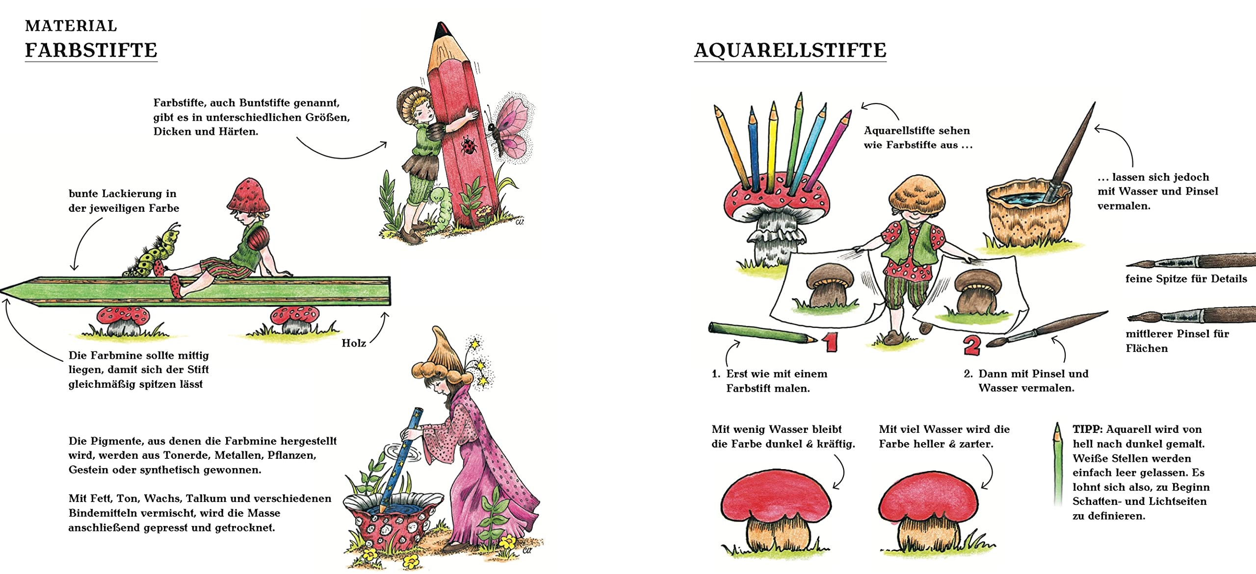 Christl Vogls Ausmalreise - Der Verwunschene Wald - (German Import)