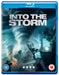 Into the Storm