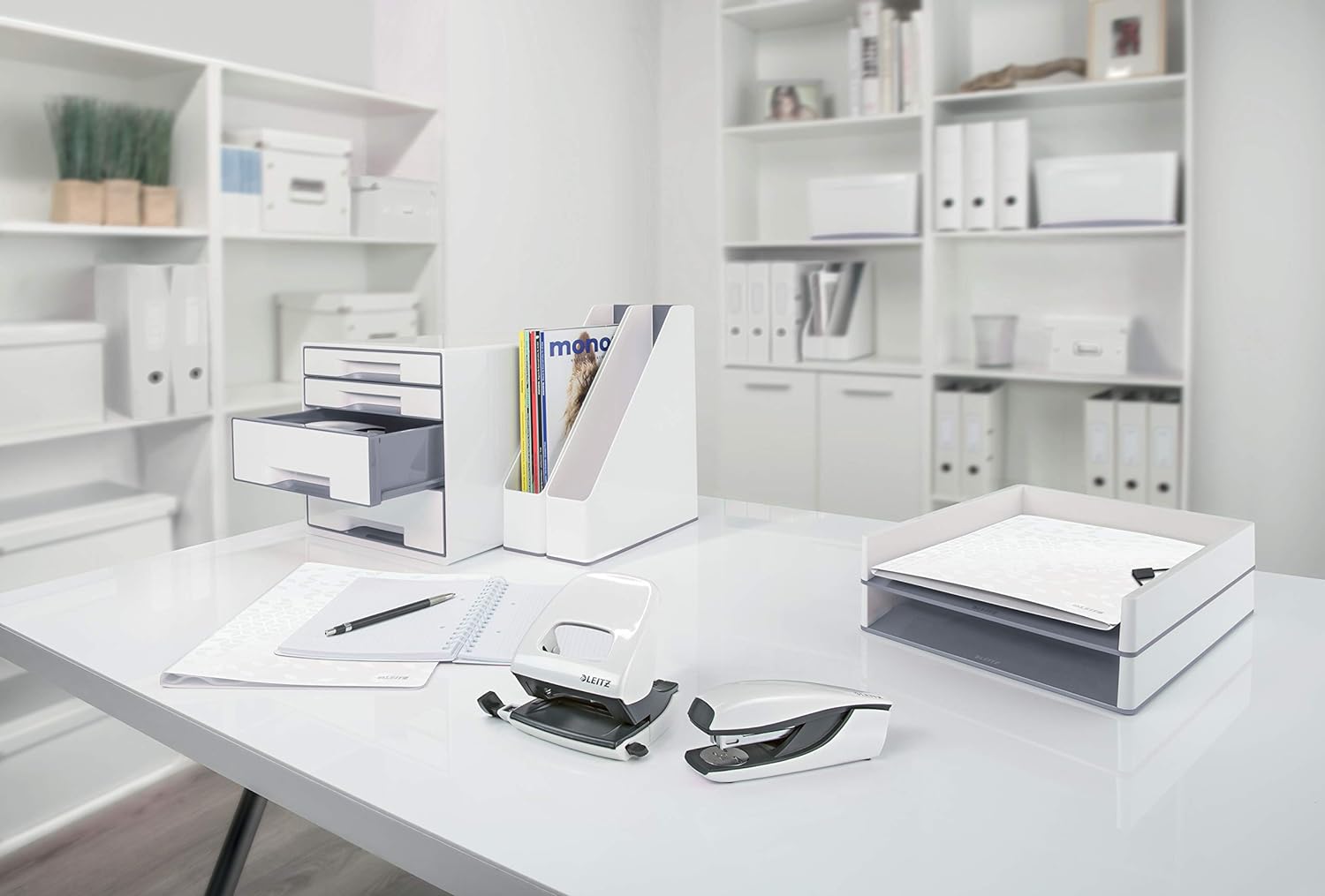 Leitz 53621095 Magazine File, A4, WOW Range, Dual Colour White/