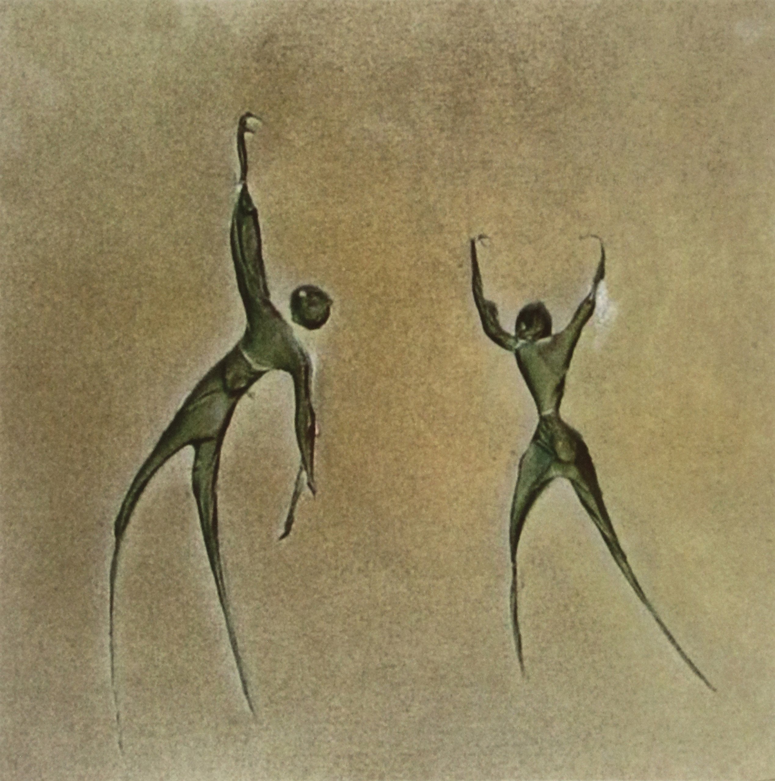 Reachin' Arcesia