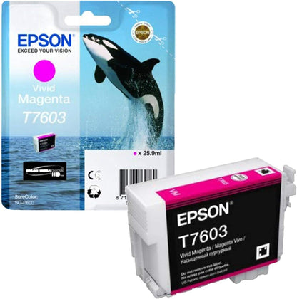 Epson C13T76034010 T7603 Vivid Ink Cartridge, Magenta, Genuine