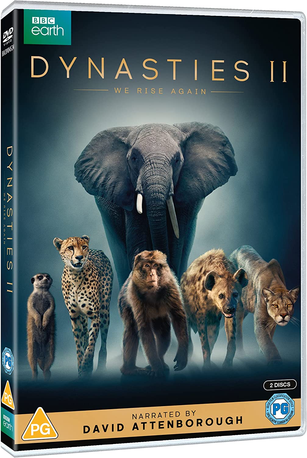 Dynasties II