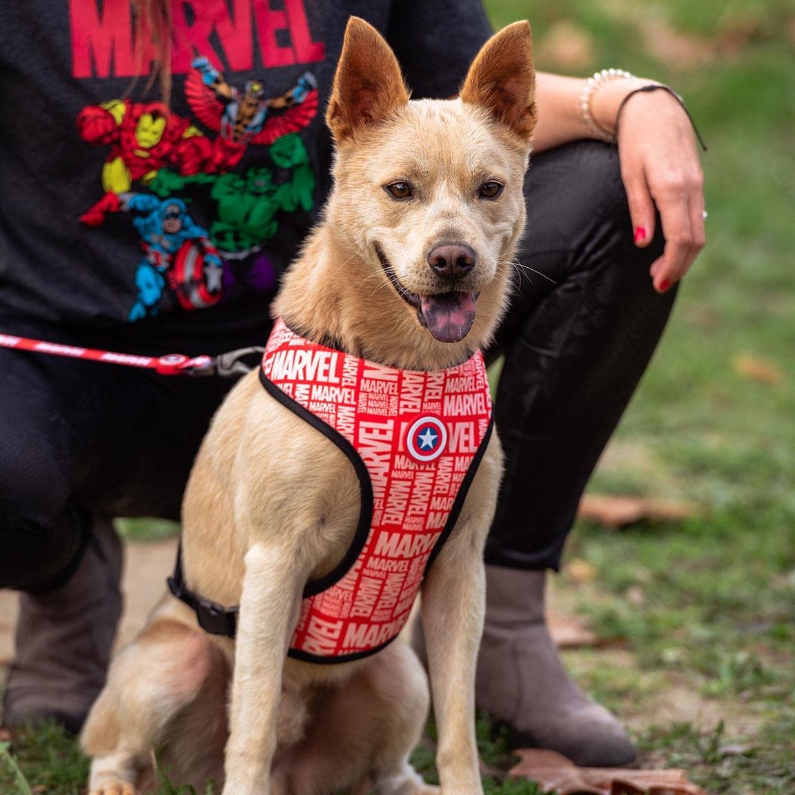 CERDÁ LIFE'S LITTLE MOMENTS - For Fan Pets | Marvel M-L Dog Harness - Official Disney Marvel® Licensed