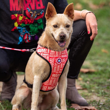CERDÁ LIFE'S LITTLE MOMENTS - For Fan Pets | Marvel M-L Dog Harness - Official Disney Marvel® Licensed