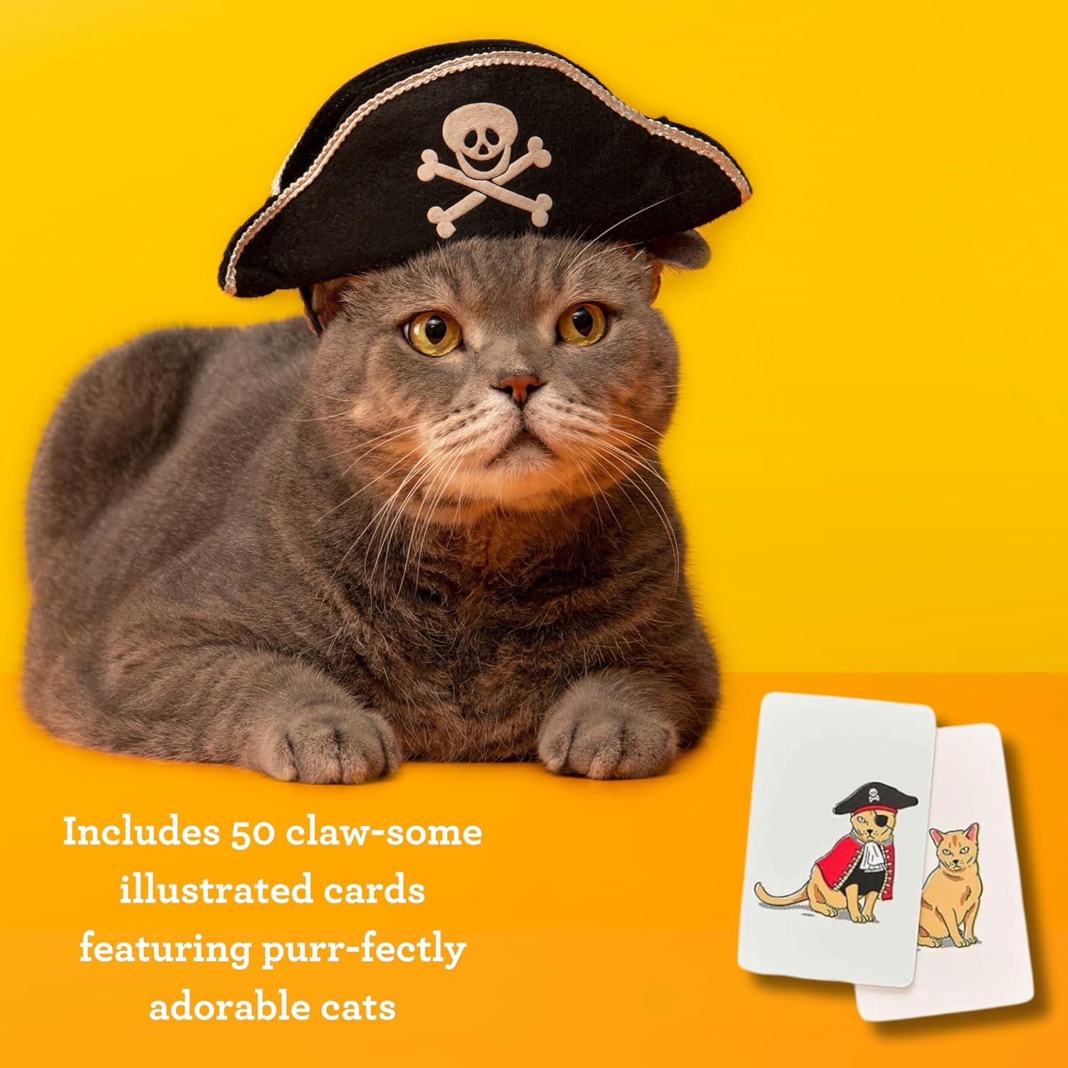 Ridley’s Costume Cats Memory Game – Includes 50 Matching Cards and Instructions – Memory Card Game Featuring Well-Dressed Cats – Fun for All Ages, Makes a Great Gift Idea Memo Game Costume Cats