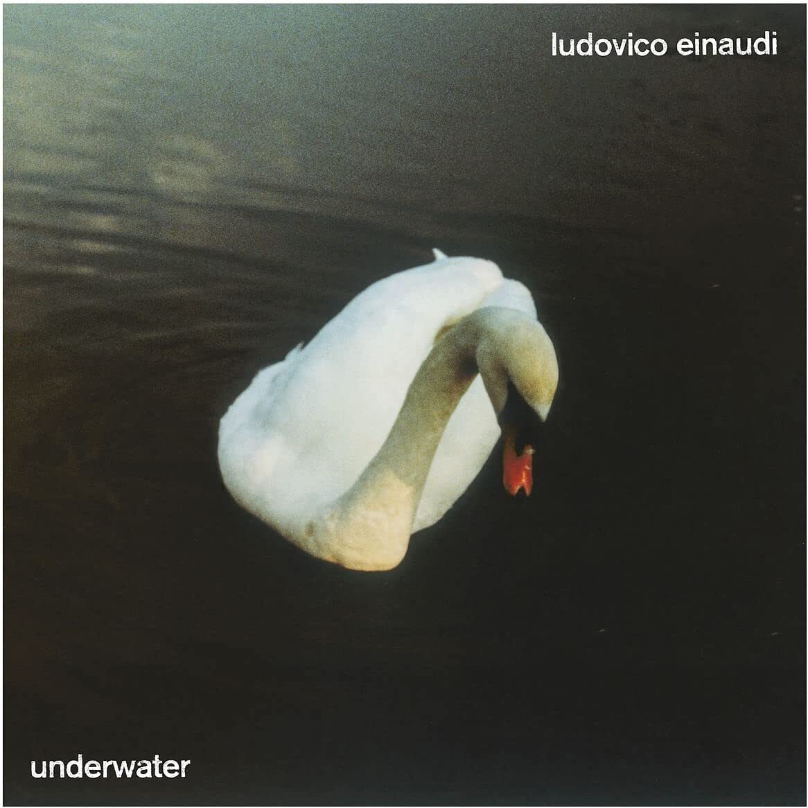 Ludovico Einaudi: Underwater