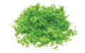 Hornby Flock - Bright Green
