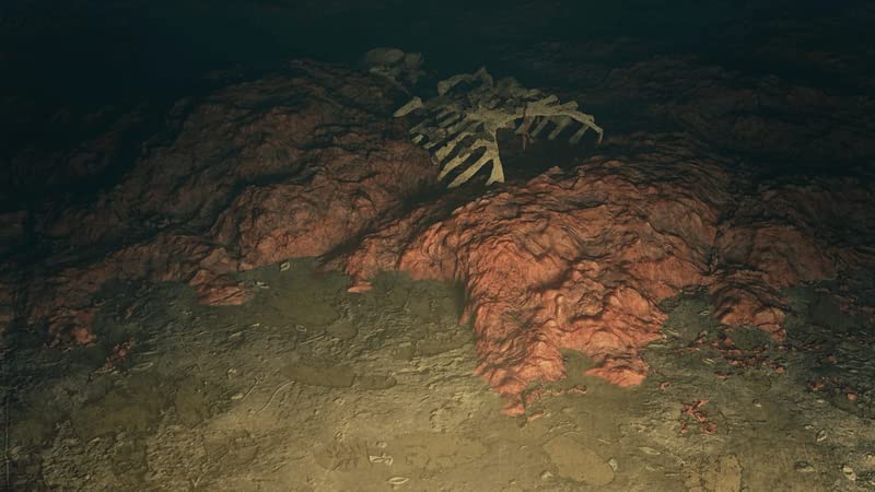 Soedesco Saint Kotar Nintendo Switch