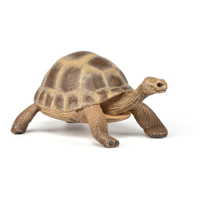 Papo Tortuga de Hermann (50264