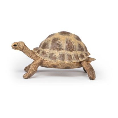 Papo Tortuga de Hermann (50264