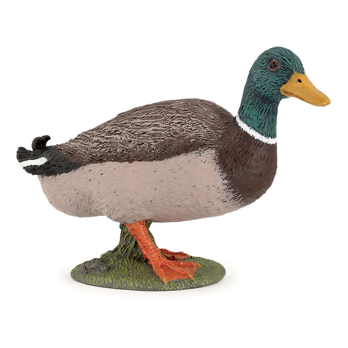 Papo FARMYARD FRIENDS Figurine, 51155 Mallard Duck, Multicolour