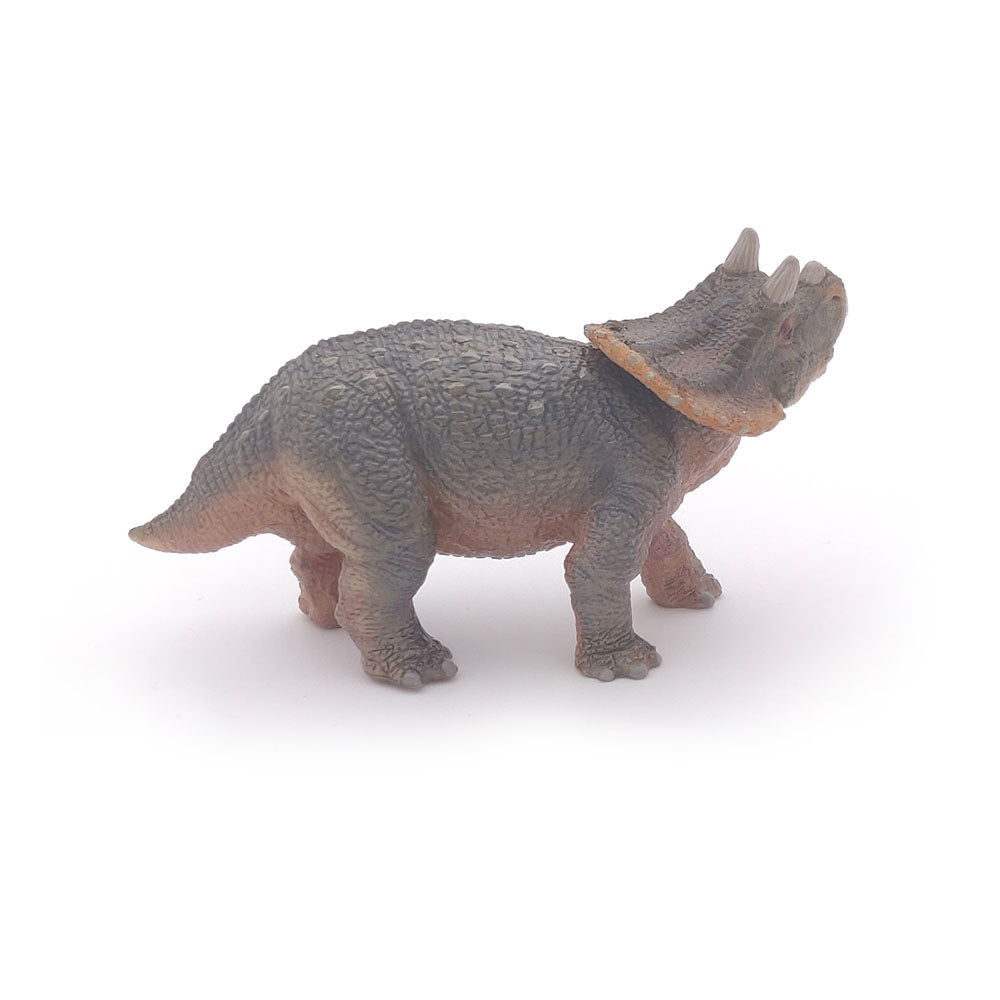 PAPO Dinosaurs Young Triceratops Toy Figure, Brown (55036)