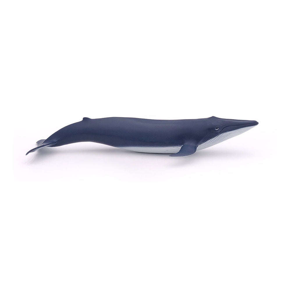 PAPO Marine Life Blue Whale Calf Toy Figure, Blue (56041)