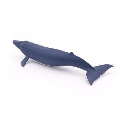 PAPO Marine Life Blue Whale Calf Toy Figure, Blue (56041)