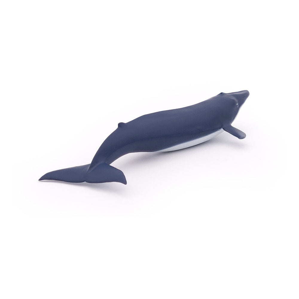 PAPO Marine Life Blue Whale Calf Toy Figure, Blue (56041)