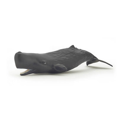 PAPO Marine Life Sperm Whale Calf Toy Figure, Grey (56045)