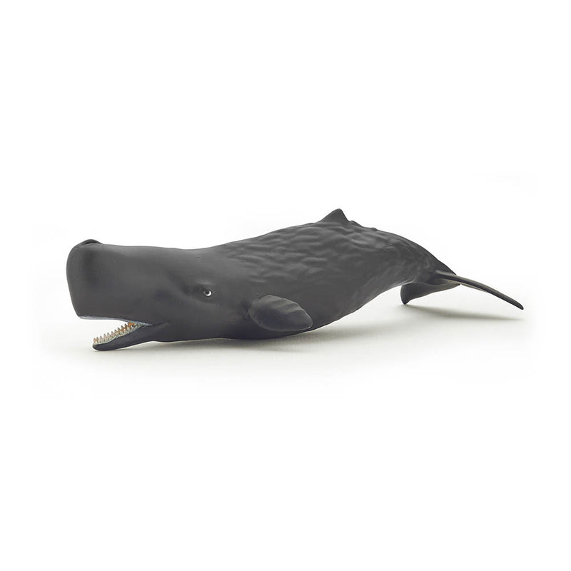 PAPO Marine Life Sperm Whale Calf Toy Figure, Grey (56045)