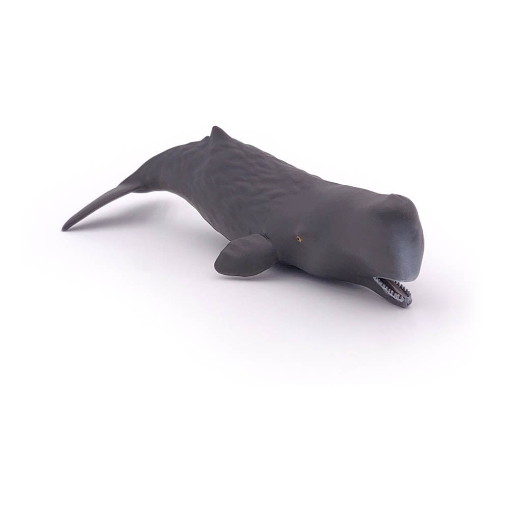 PAPO Marine Life Sperm Whale Calf Toy Figure, Grey (56045)