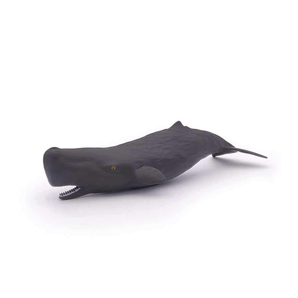 PAPO Marine Life Sperm Whale Calf Toy Figure, Grey (56045)