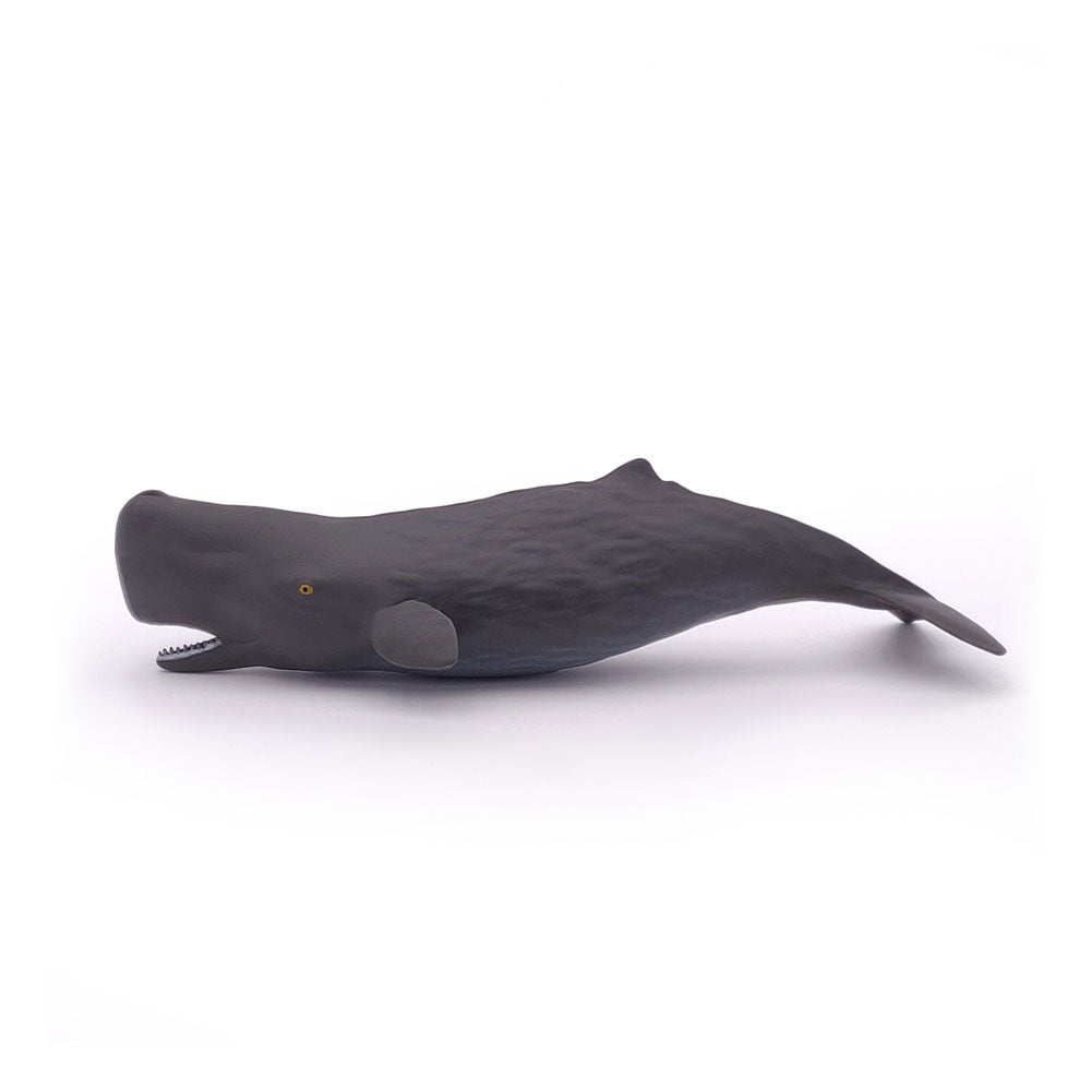 PAPO Marine Life Sperm Whale Calf Toy Figure, Grey (56045)