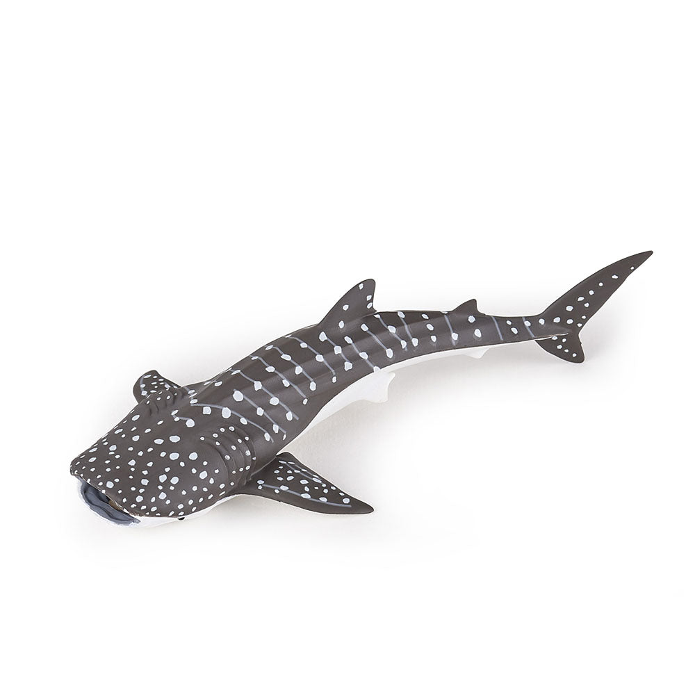 Papo MARINE LIFE Figurine, 56046 Young Whale Shark, Multicolour