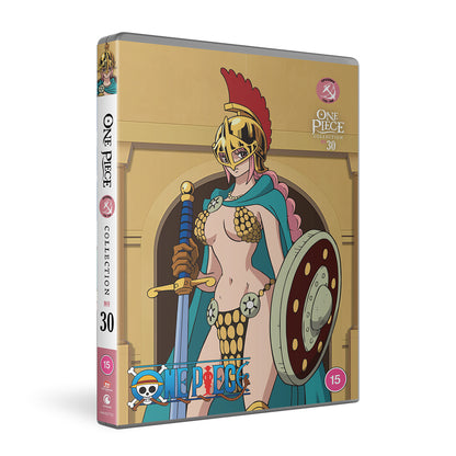 One Piece: Collection 30