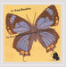Butterfly Project Chapter 1 Butterfly Muse