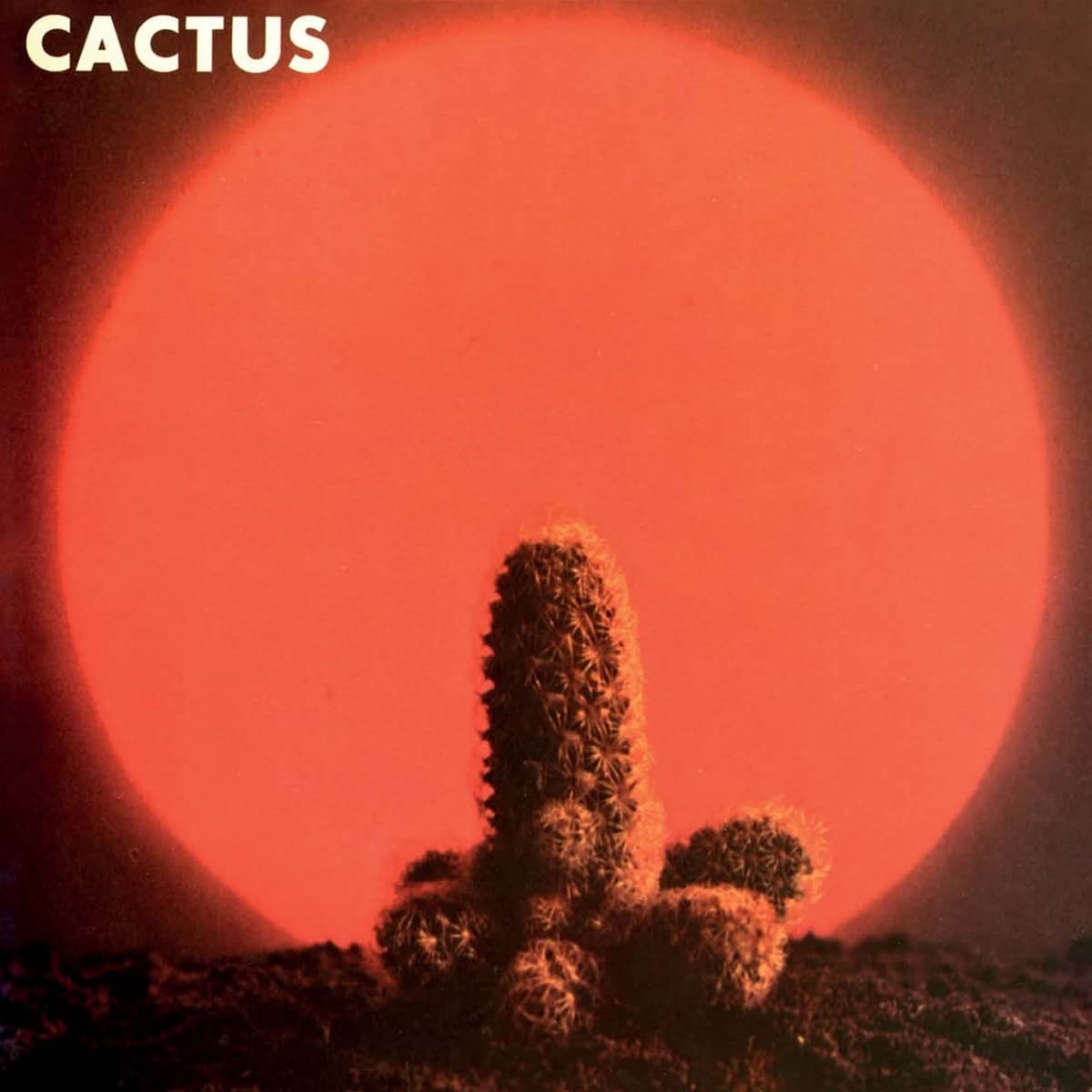 Evil Is Going On: The Atco Albums 1970-1972